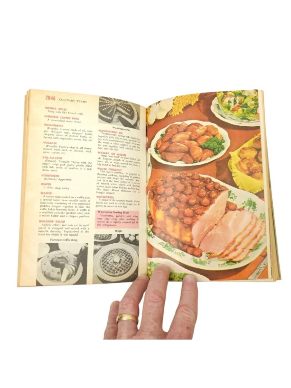 Mary Margaret McBride Encyclopedia of Cooking Volume 12 Vintage 1958 Cookbook HC